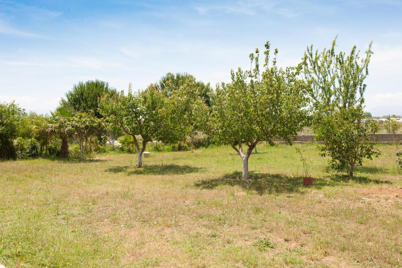 Olives Estate Apartments Grande Превеза Екстериор снимка