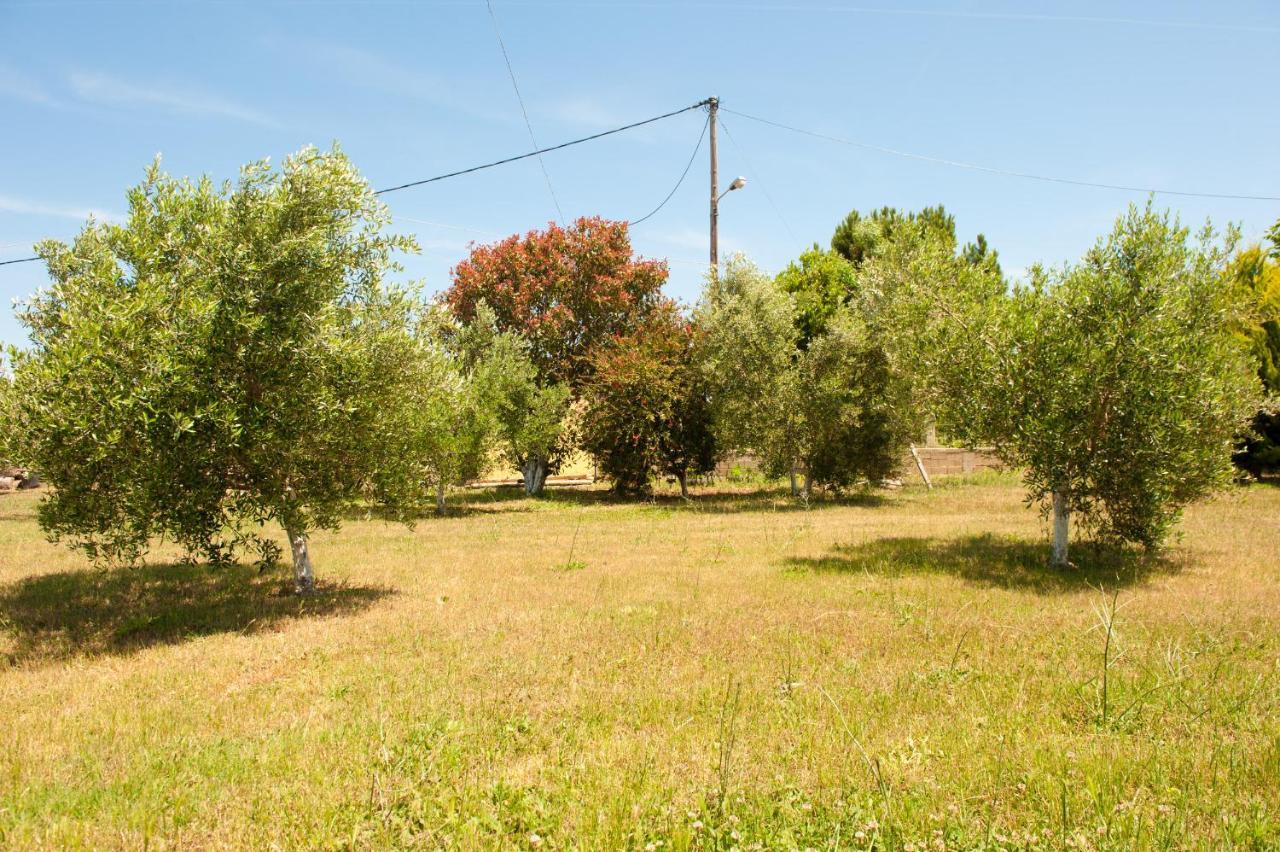 Olives Estate Apartments Grande Превеза Екстериор снимка