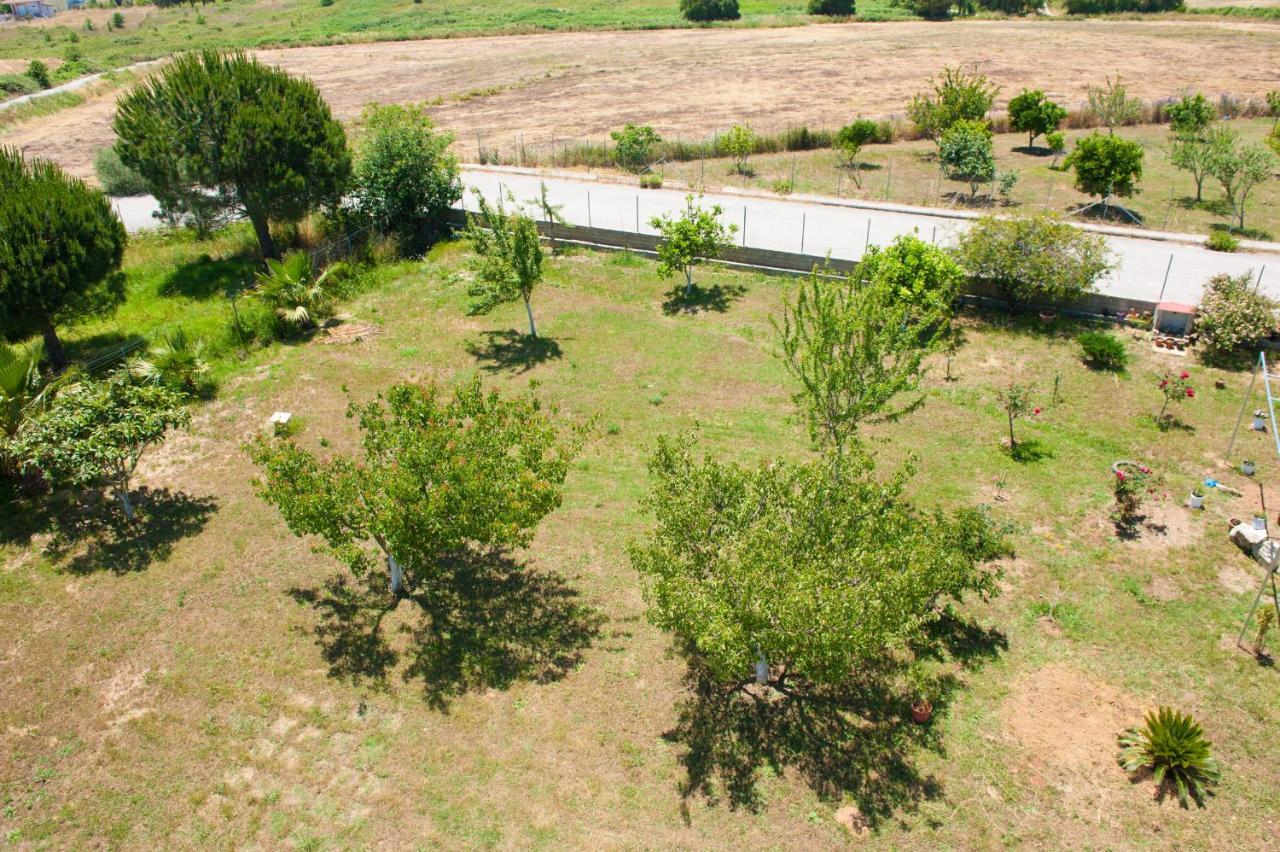 Olives Estate Apartments Grande Превеза Екстериор снимка