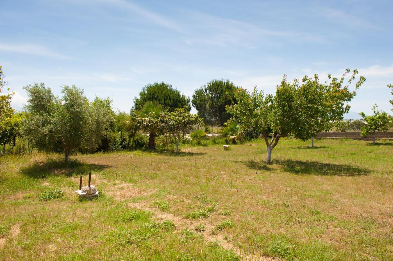 Olives Estate Apartments Grande Превеза Екстериор снимка